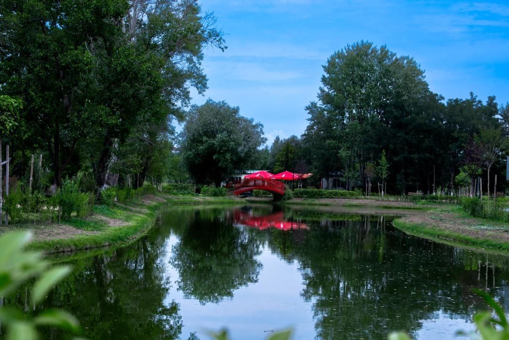 Gori Inn фото 28