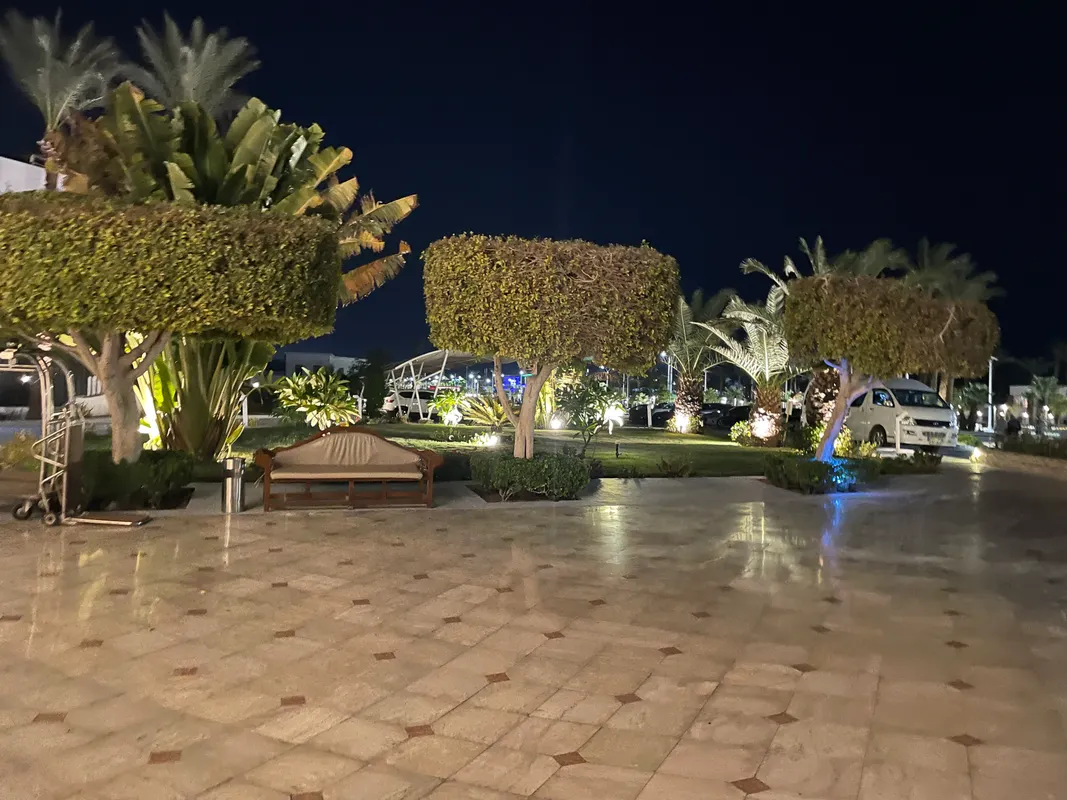 Jaz Sharm Dreams фото 56