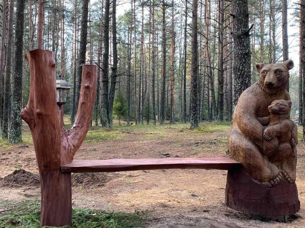Санаторий «Нарочанский берег» фото 29