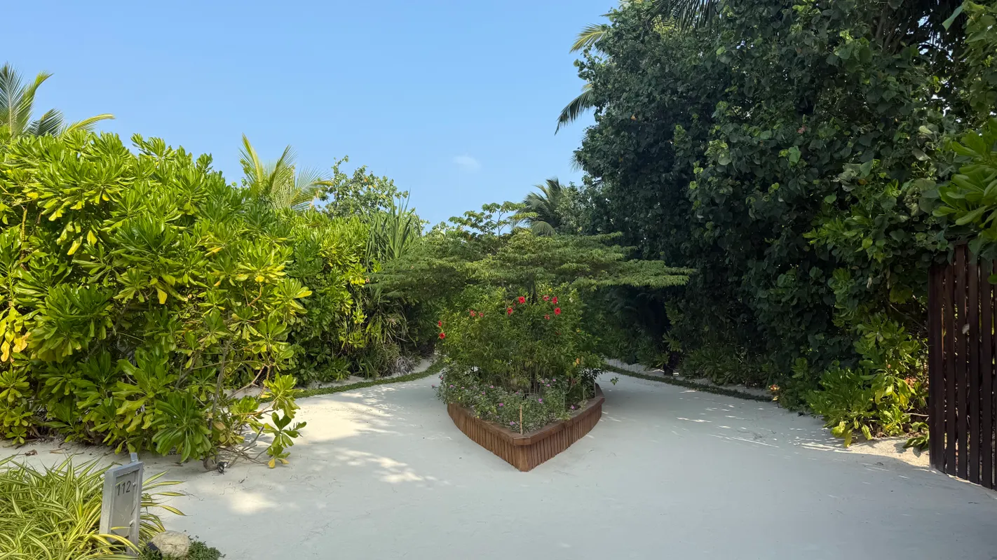 Cinnamon Velifushi Maldives фото 61
