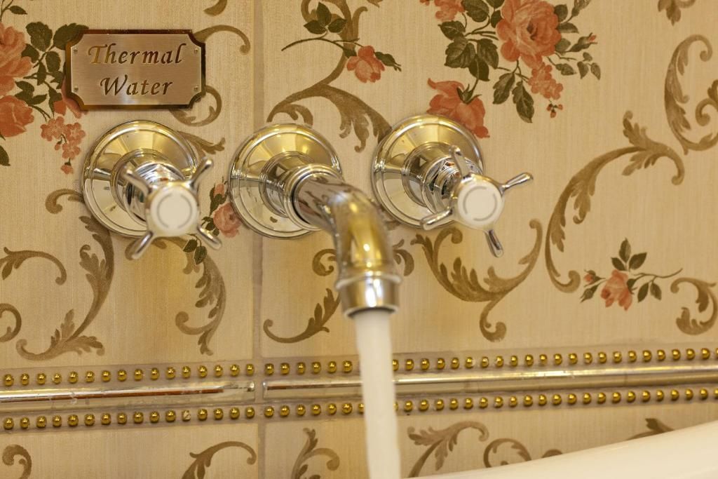 Limak Thermal Boutique Hotel фото 11