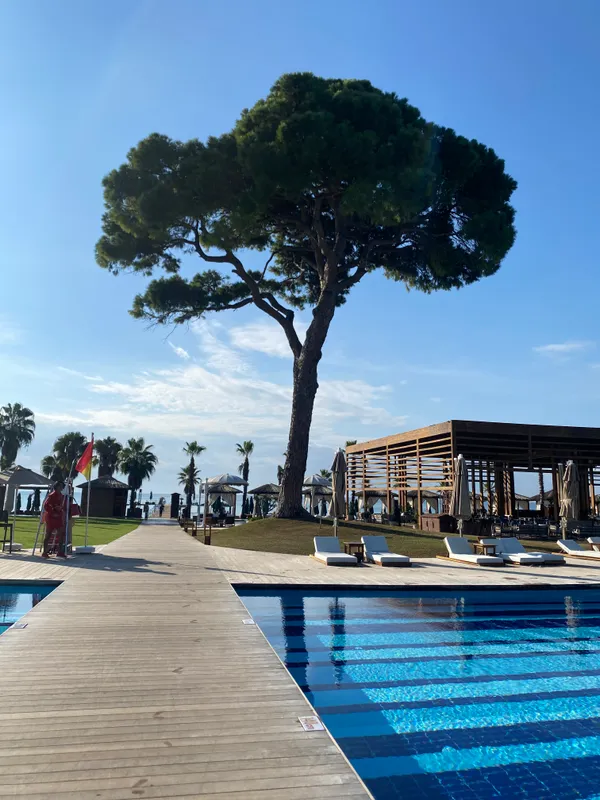 Rixos Premium Belek фото 82
