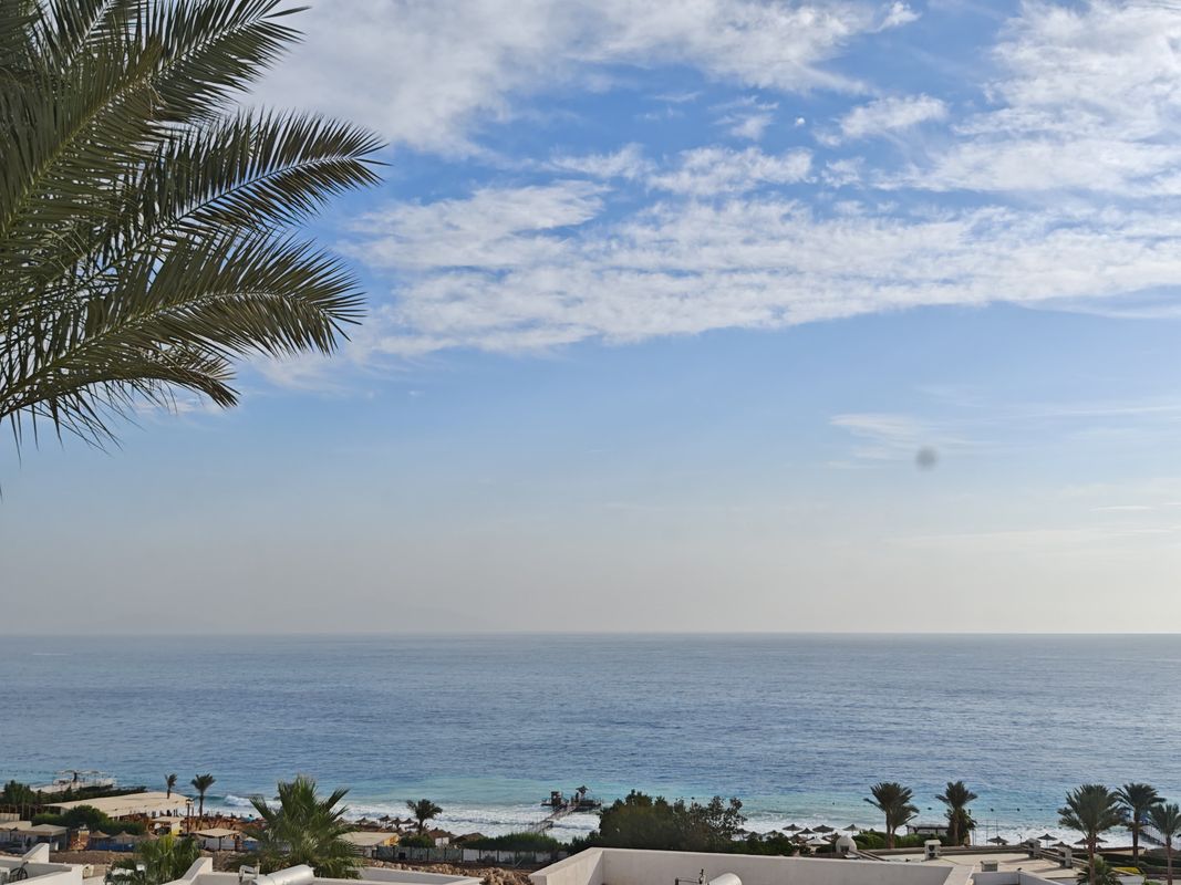 Renaissance Sharm El Sheikh Golden View Beach Resort фото 116