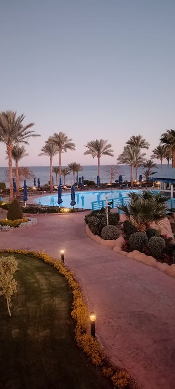 Renaissance Sharm El Sheikh Golden View Beach Resort фото 66