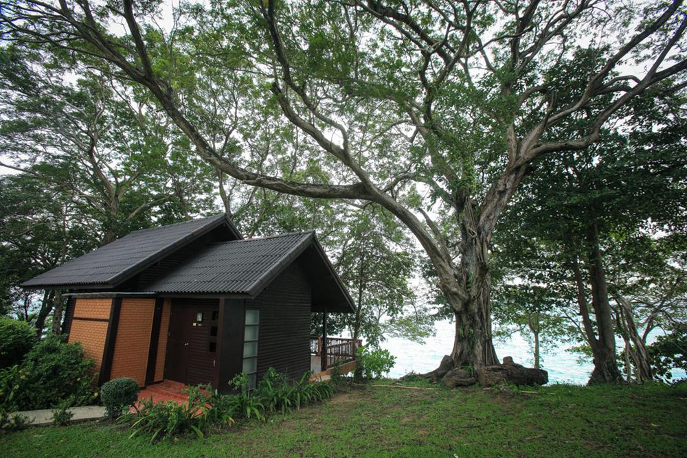 Phi Phi Natural Resort фото 64