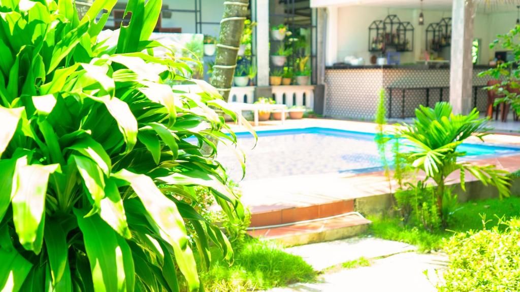 Hien Minh Bungalow фото 36