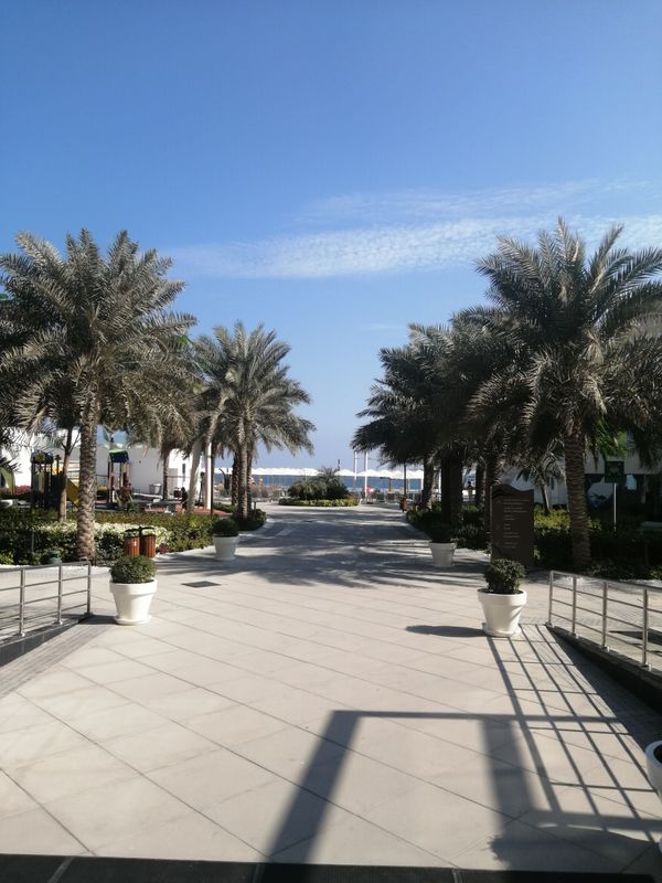 Royal M Al Aqah Beach Resort by Gewan фото 81