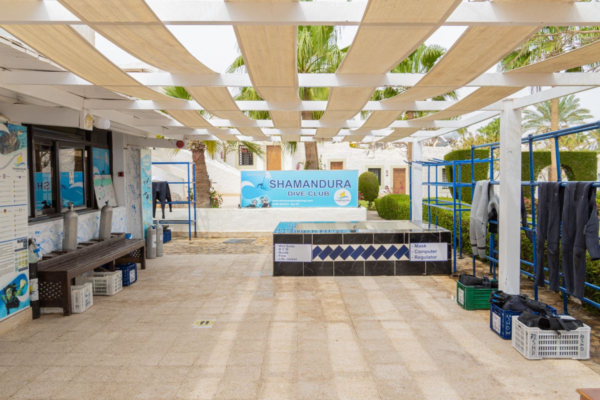 Sharm Club Beach Resort фото 26