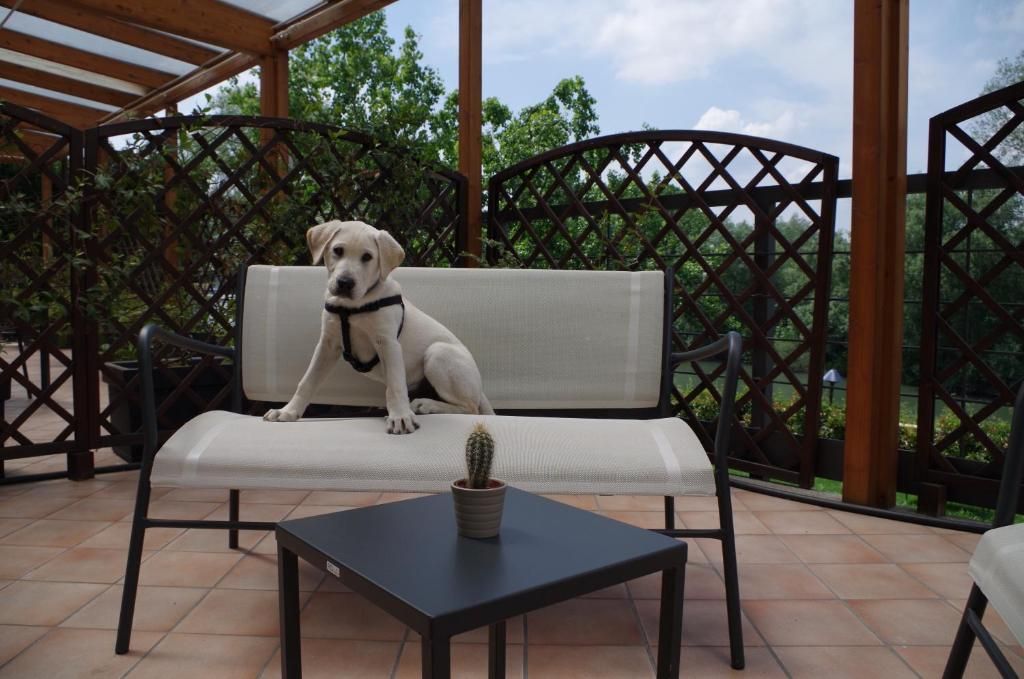 Best Quality Hotel La Darsena фото 9