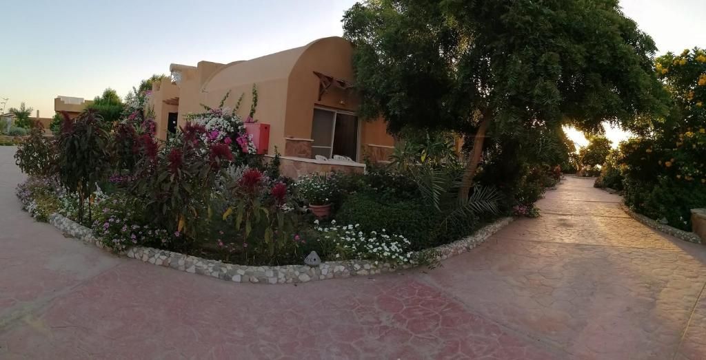 Silver Beach Redsea Resort фото 33