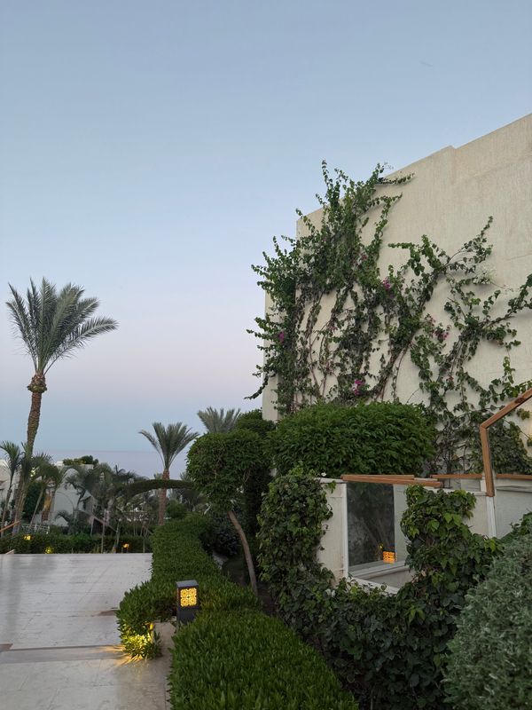 Sunrise Grand Select Montemare Resort фото 66