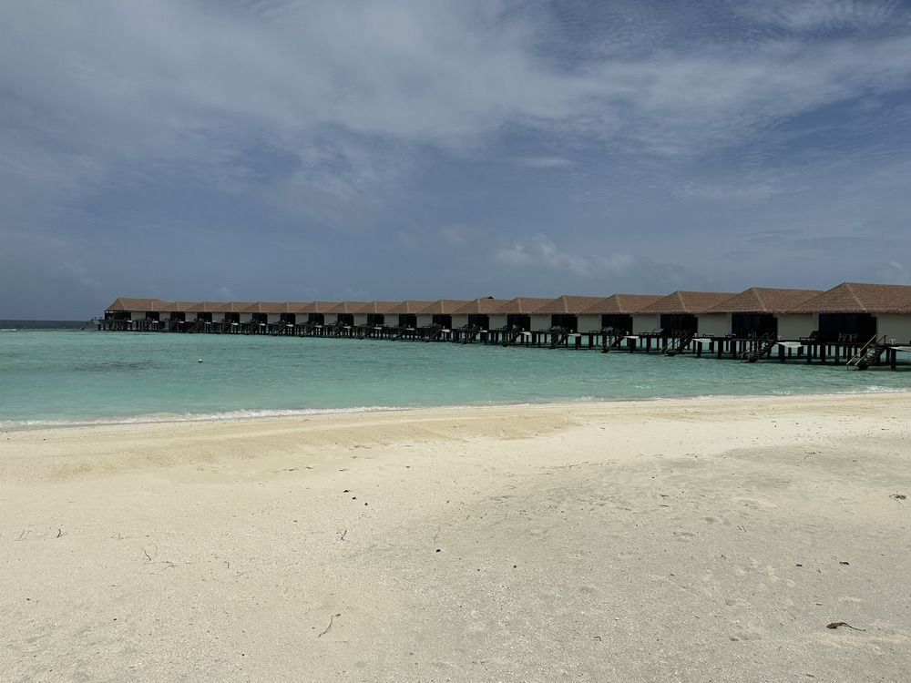 Cinnamon Velifushi Maldives фото 122