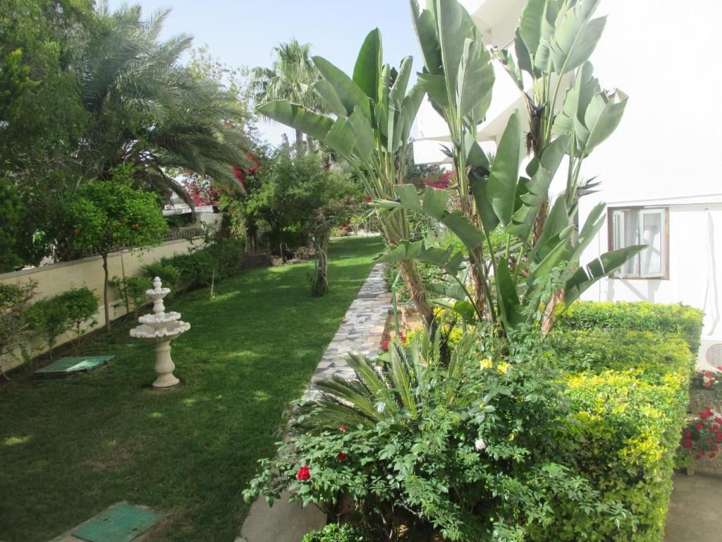 Tsialis Hotel Apartments фото 9