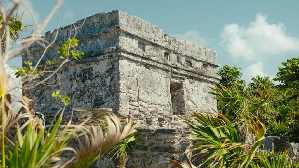 Occidental at Xcaret Destination фото 82