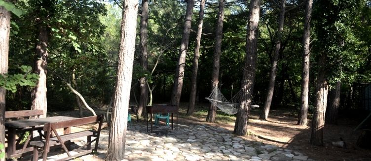 Фото отеля Асият