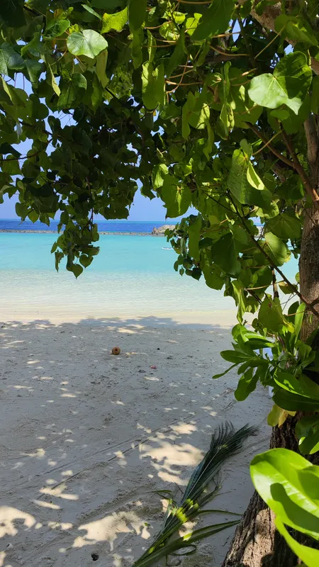 IHaven Thulusdhoo фото 11