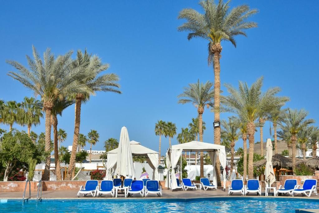 Seti Sharm Palm Beach Resort фото 37