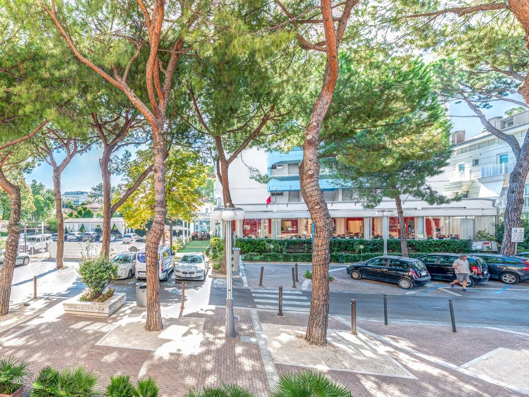 New Zanarini фото 2