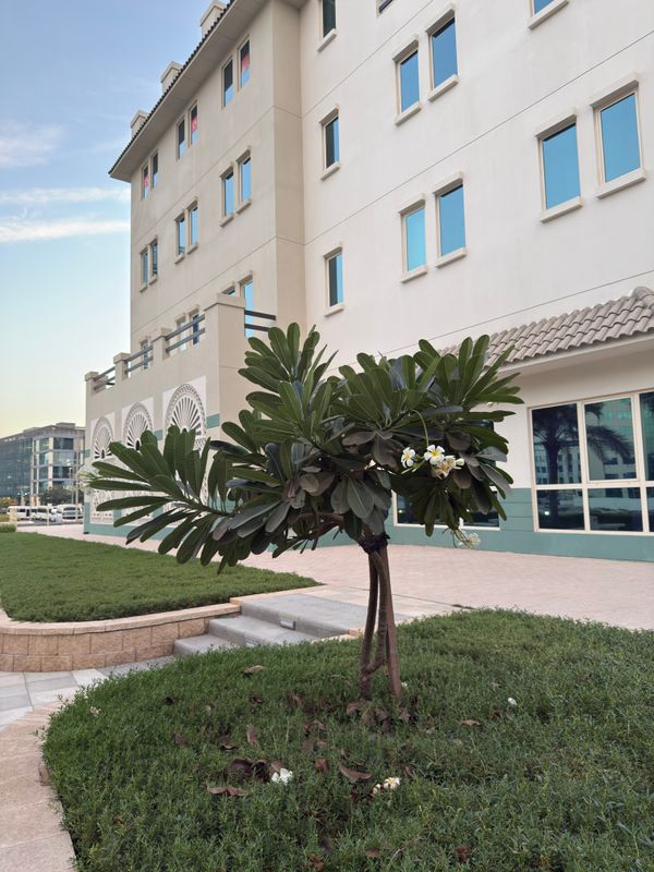 Holiday Inn Express Dubai Internet City фото 30