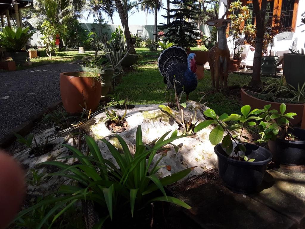 Karl Holiday Bungalow фото 43