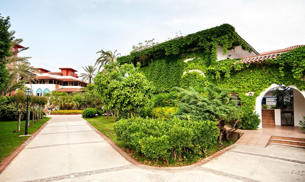 Belconti Resort фото 157