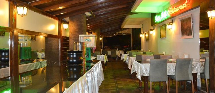 Фото отеля Hotel Green Palm