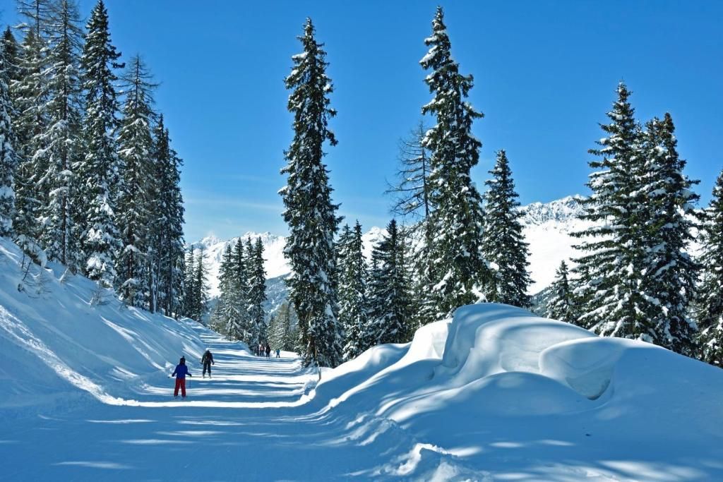 Alpenkoenigin фото 19