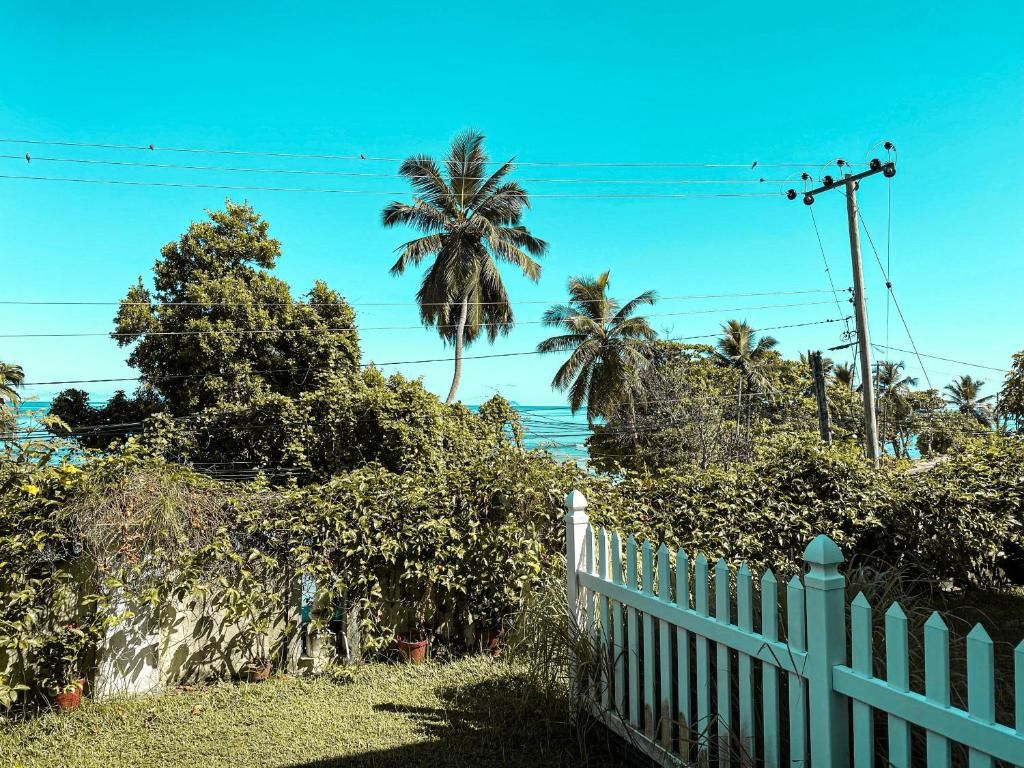 Anse Norwa Self Catering фото 17
