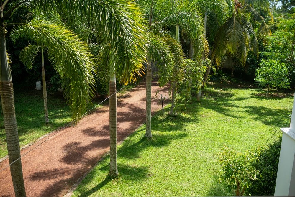 Green Edge Villa фото 47