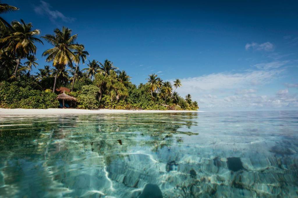Robinson Club Maldives (Adults Only) фото 24