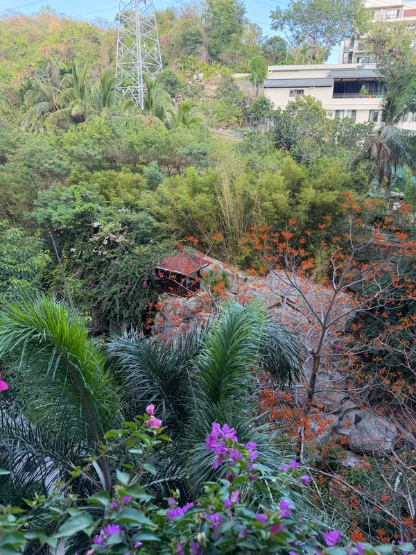 Four Seasons Ocean Courtyard Hotel фото 20
