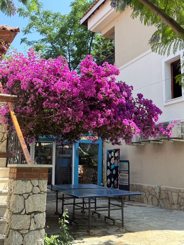 Perdikia Hill Family Resort & Villas фото 49