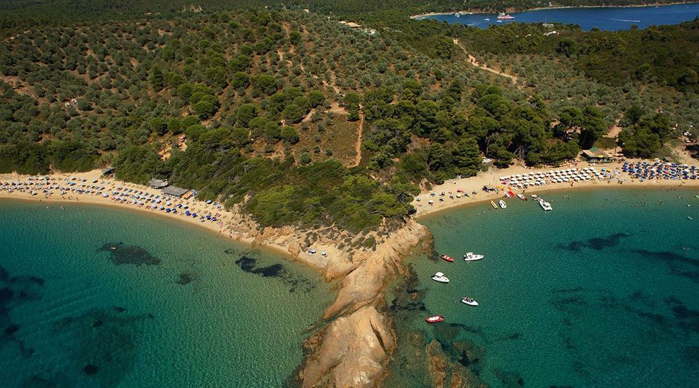 The Skiathos Palace Hotel фото 28