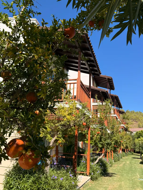 Rixos Premium Tekirova фото 106