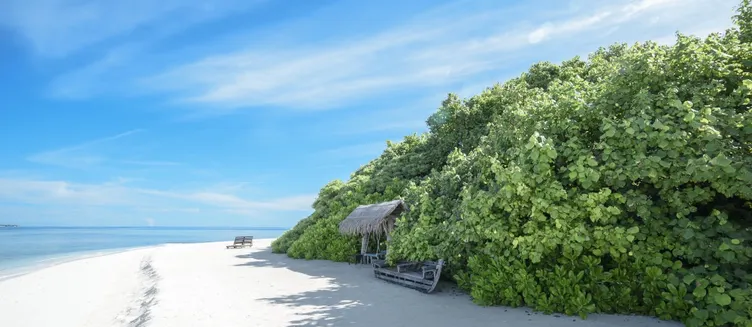 Фото отеля Makunudu Island (Adults Only)