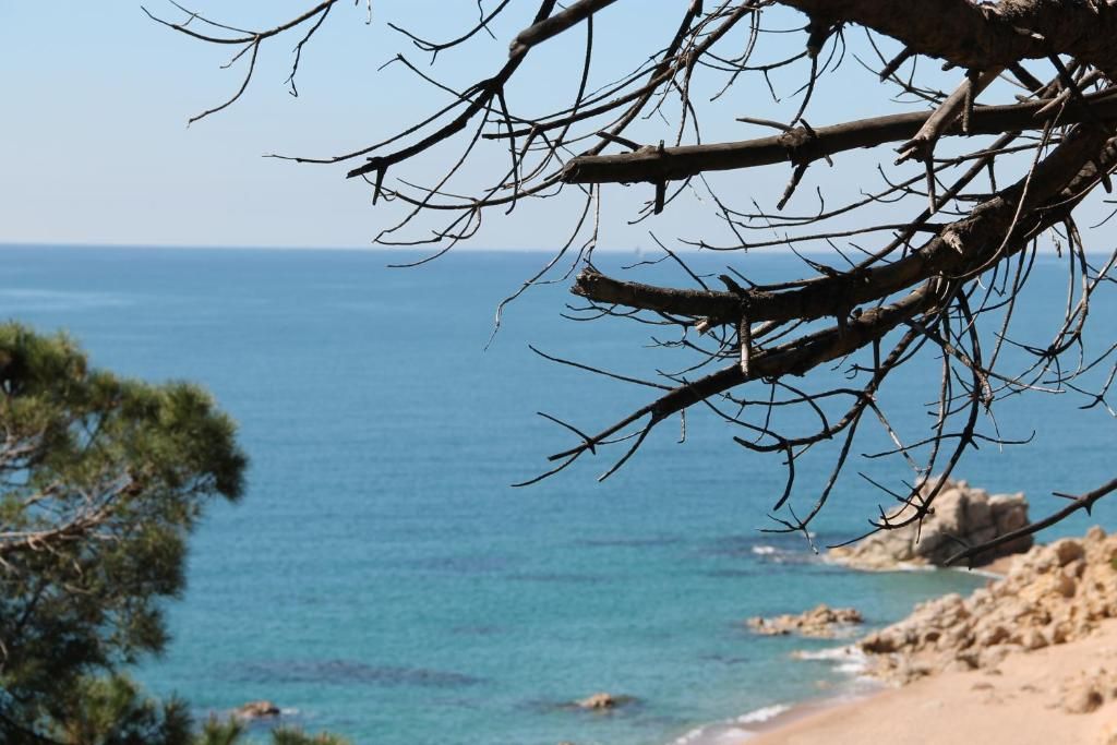 Terramar Calella фото 4