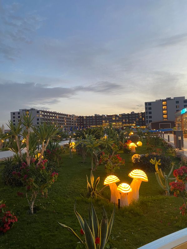 Rewaya Majestic Resort фото 401