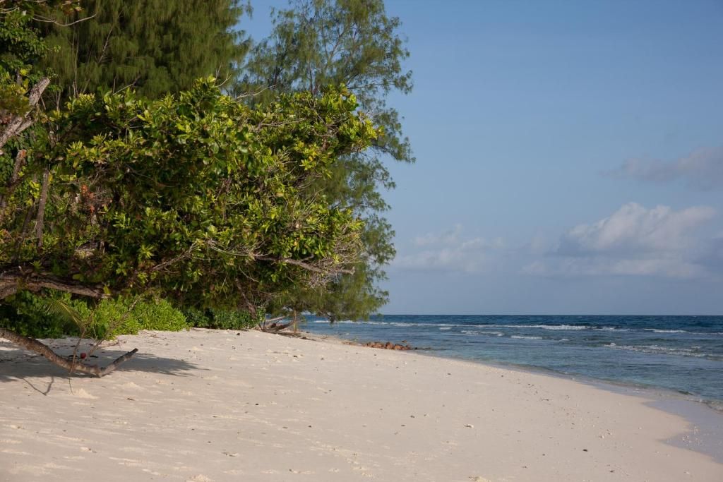 Le Relax Luxury Lodge фото 64