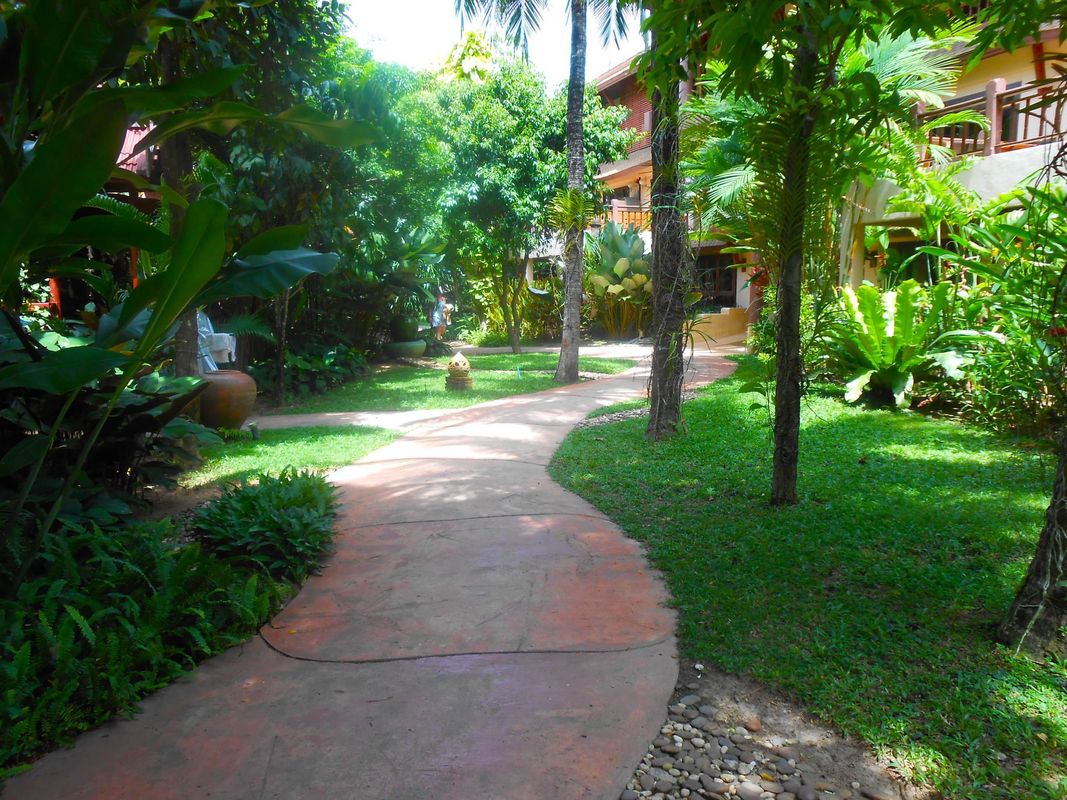 Samui Sense Beach Resort фото 6