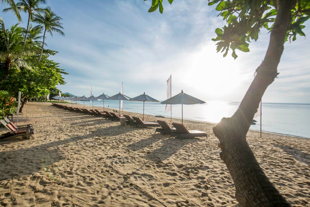 New Star Beach Resort фото 38
