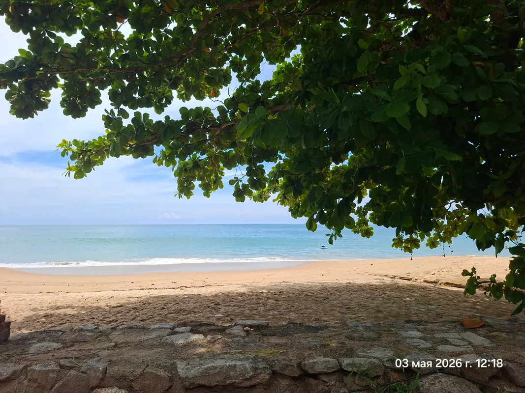 Khao Lak Palm Beach Resort фото 49