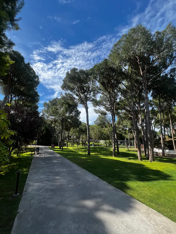 Voyage Belek Golf & Spa фото 111