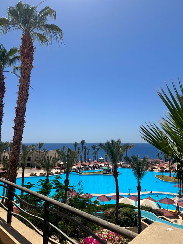Grand Rotana Resort & Spa фото 91