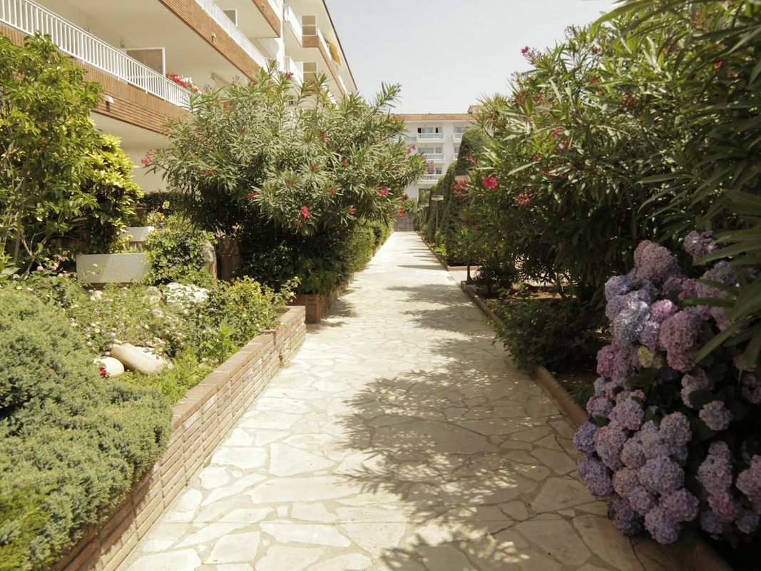 Apartamentos Europa Lotus фото 2