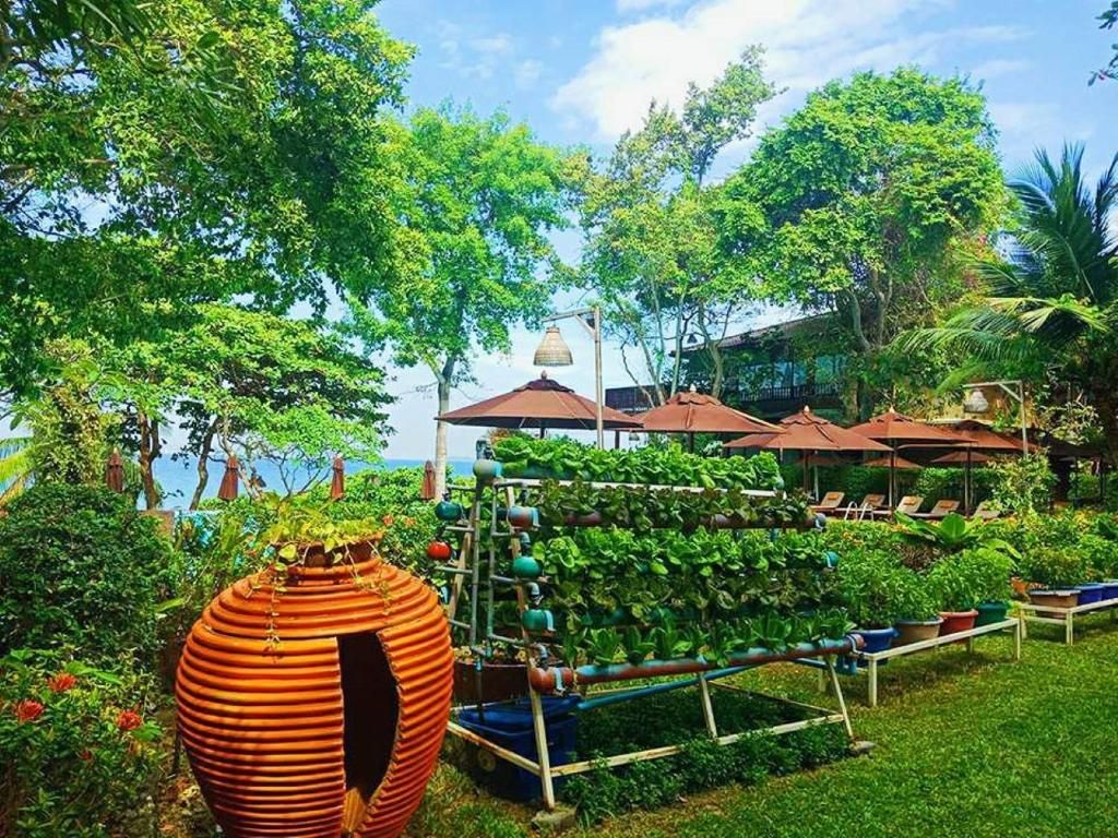 Birds & Bees Resort фото 61
