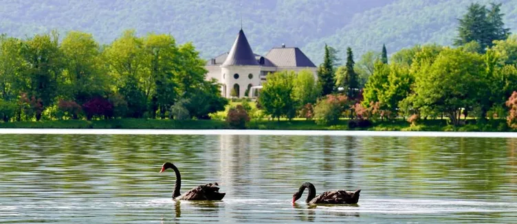 Фото отеля Lopota Lake Resort & Spa