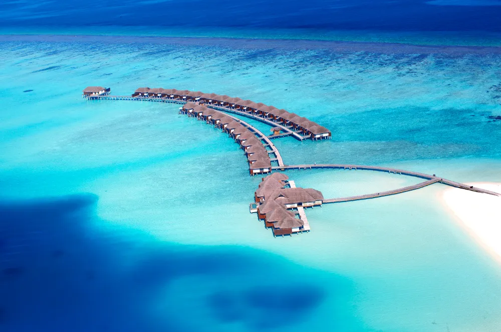 Niva Velassaru Maldives фото 30