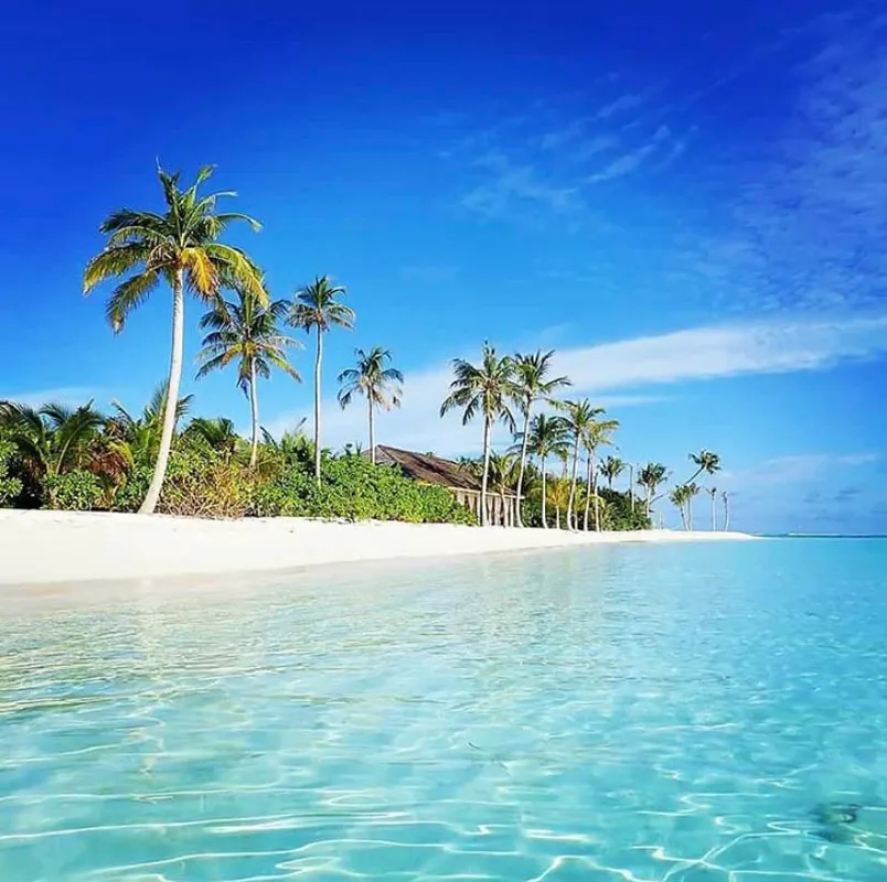 Nala Maldives by Jawakara (Adults Only) фото 37