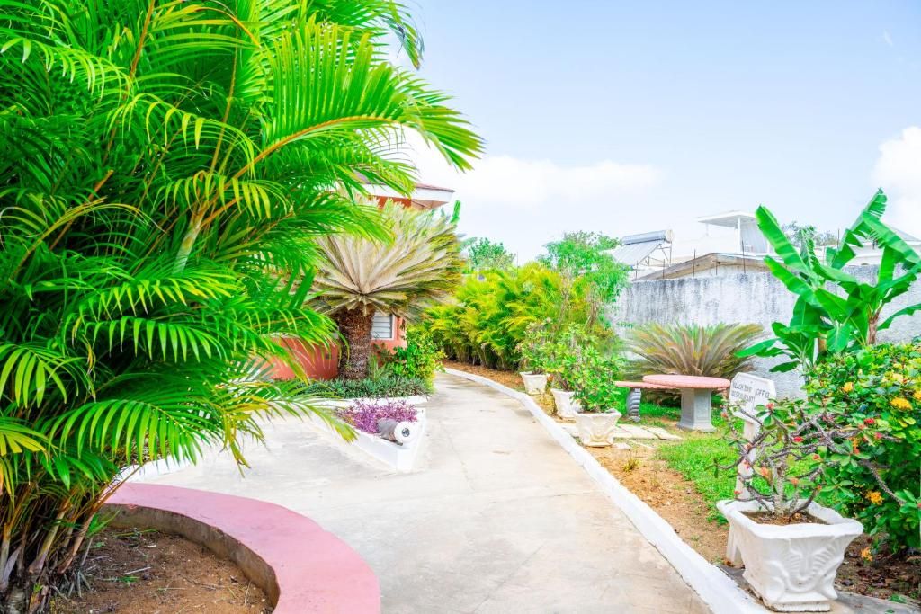 Shields Negril Villas LTD фото 29