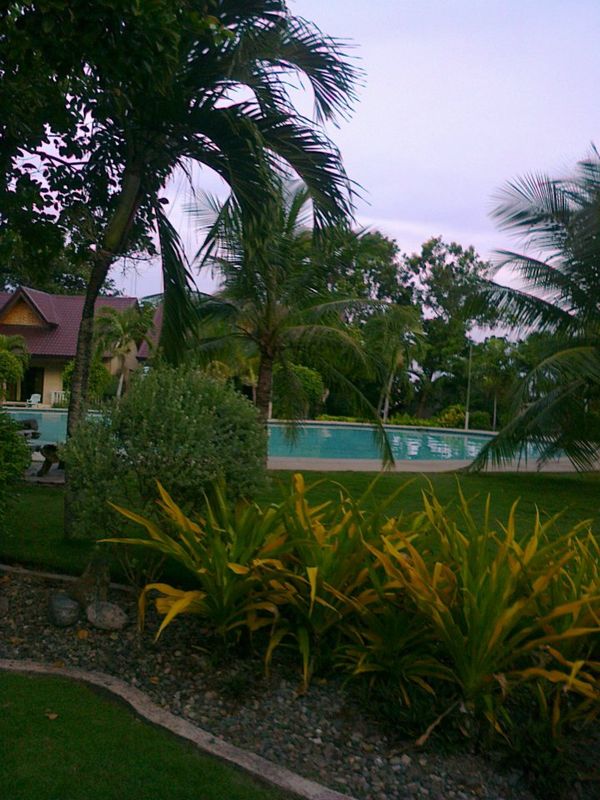Bohol Divers Resort фото 13